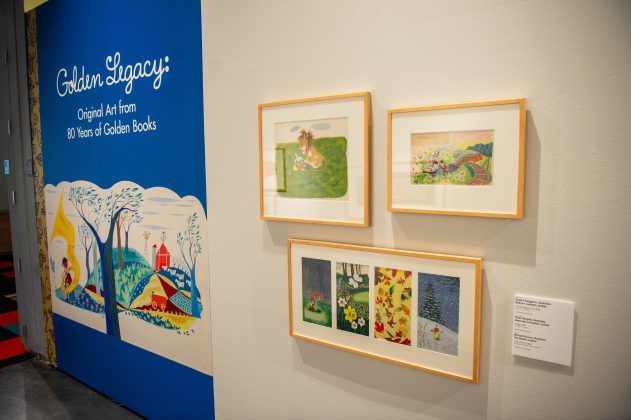 a group of framed pictures on a wall